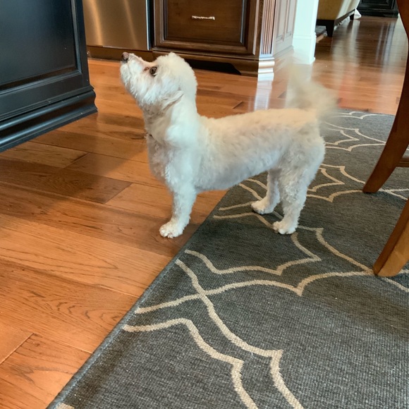 Meet your Posher, Taylor - Picture 1 of 1